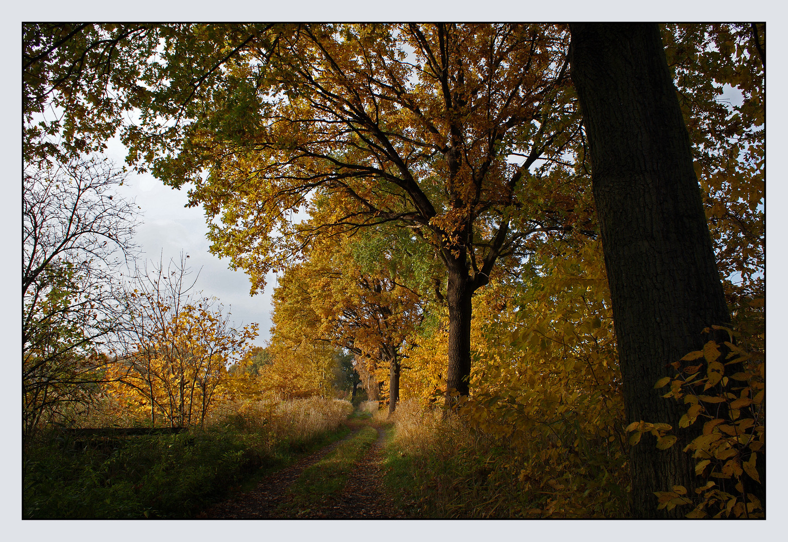 Herbst in der Oberlausitz # 2