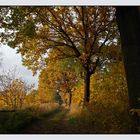 Herbst in der Oberlausitz # 2