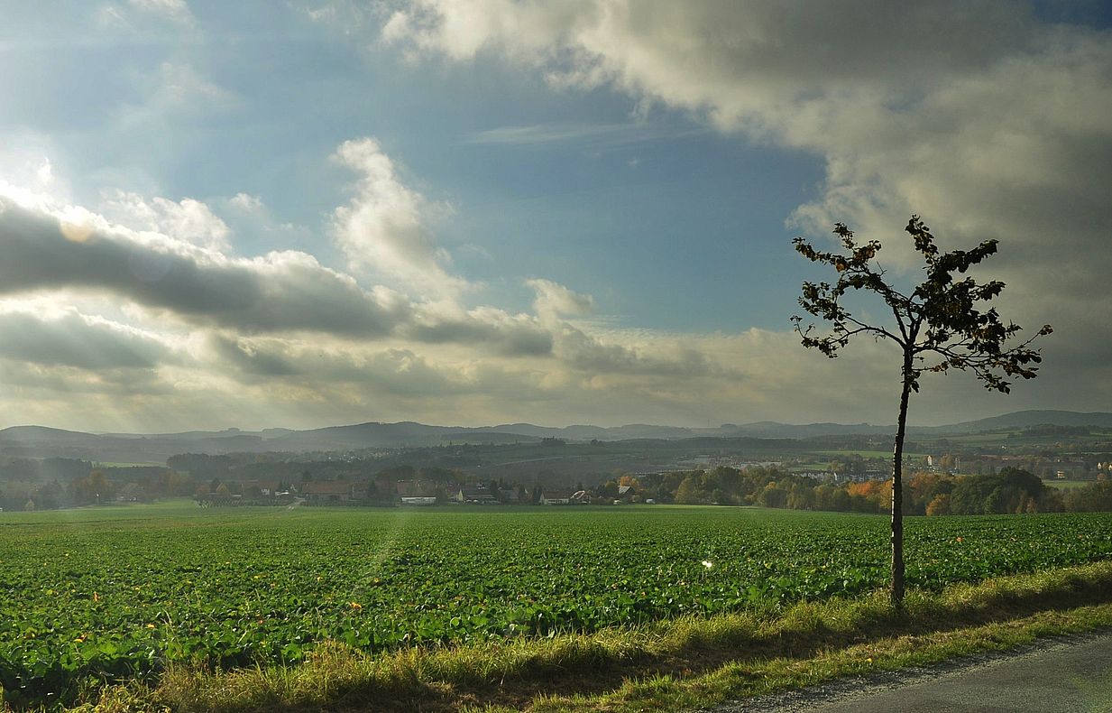 Herbst in der Oberlausitz