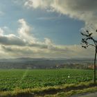 Herbst in der Oberlausitz