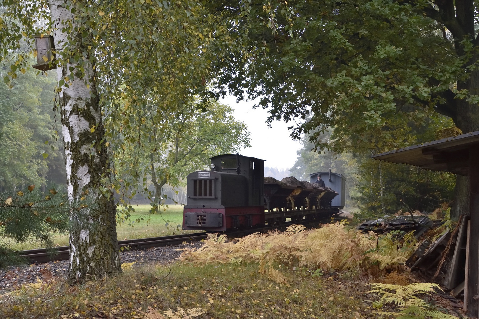 Herbst in der Oberlausitz. Die Diesellok Kö 0407 mit einem Lorenzug in Gablenz am 16.10.2016