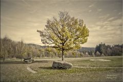 Herbst in der Oberpfalz