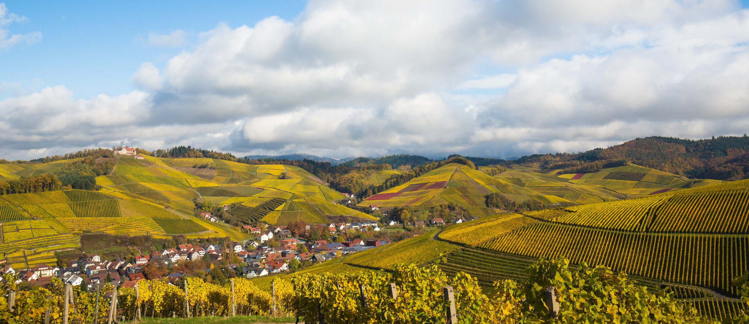 Herbst in der Ortenau 