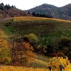 Herbst in der Ortenau