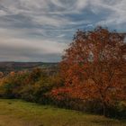 Herbst in der Ostalb