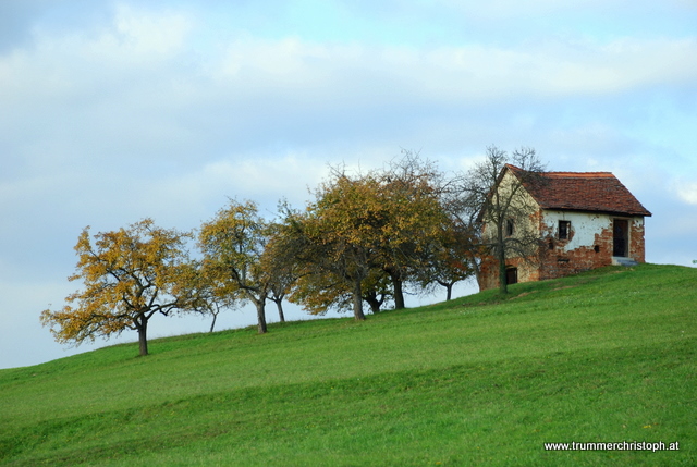 Herbst in der Oststeiermark