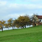 Herbst in der Oststeiermark