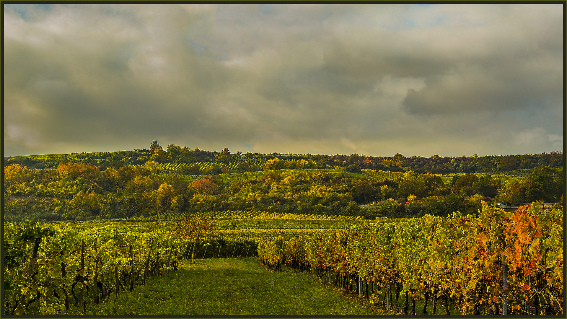 HERBST IN DER PFALZ