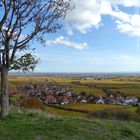 Herbst in der Pfalz