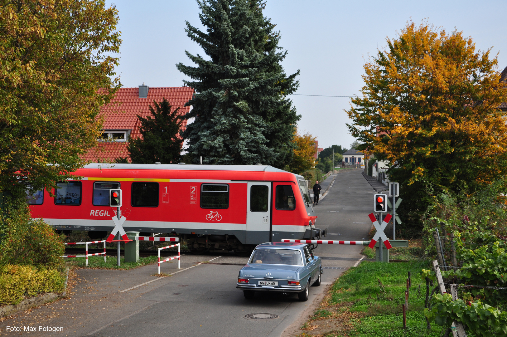 Herbst in der Pfalz - 2015