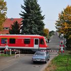 Herbst in der Pfalz - 2015