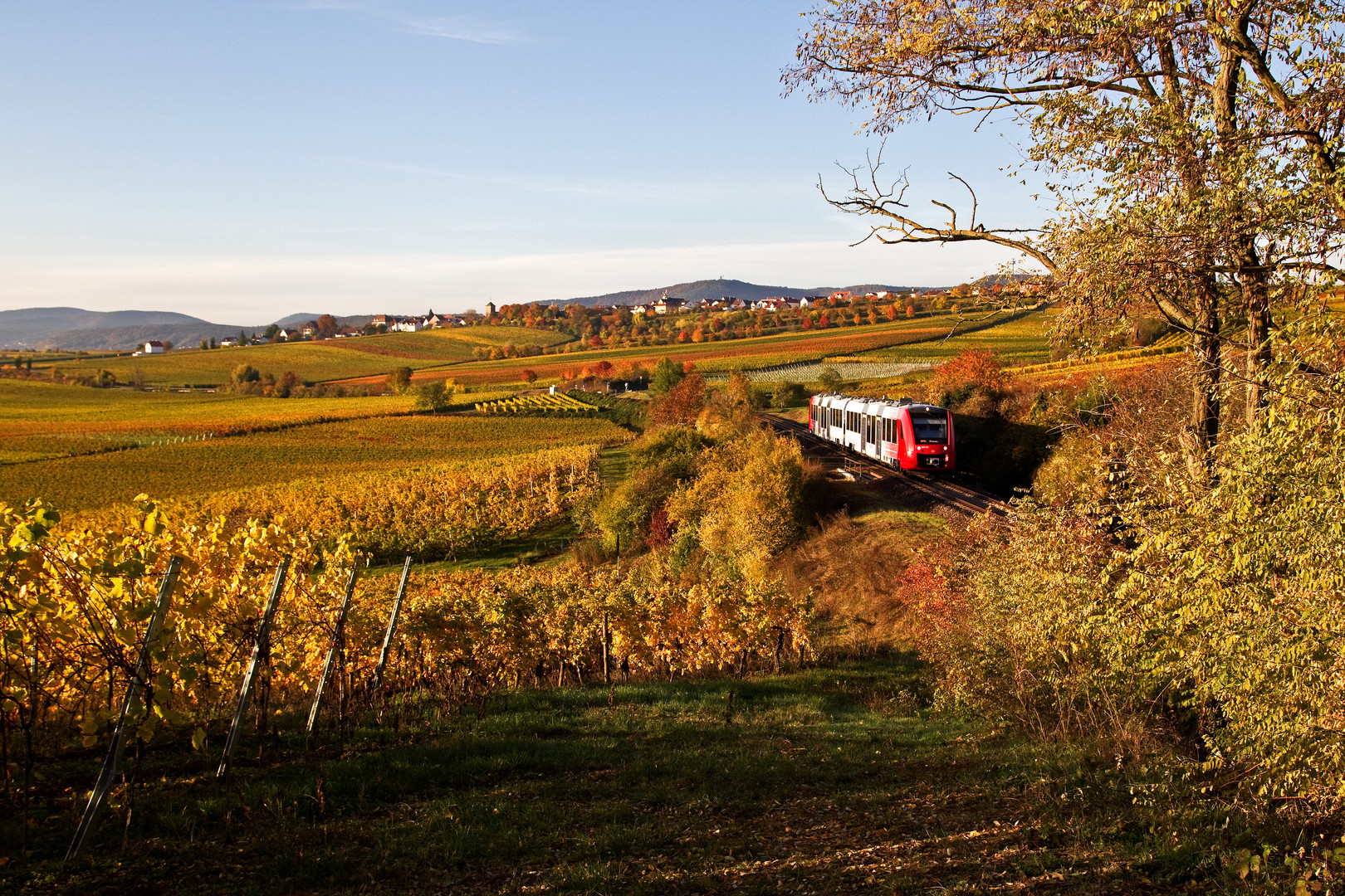 Herbst in der Pfalz