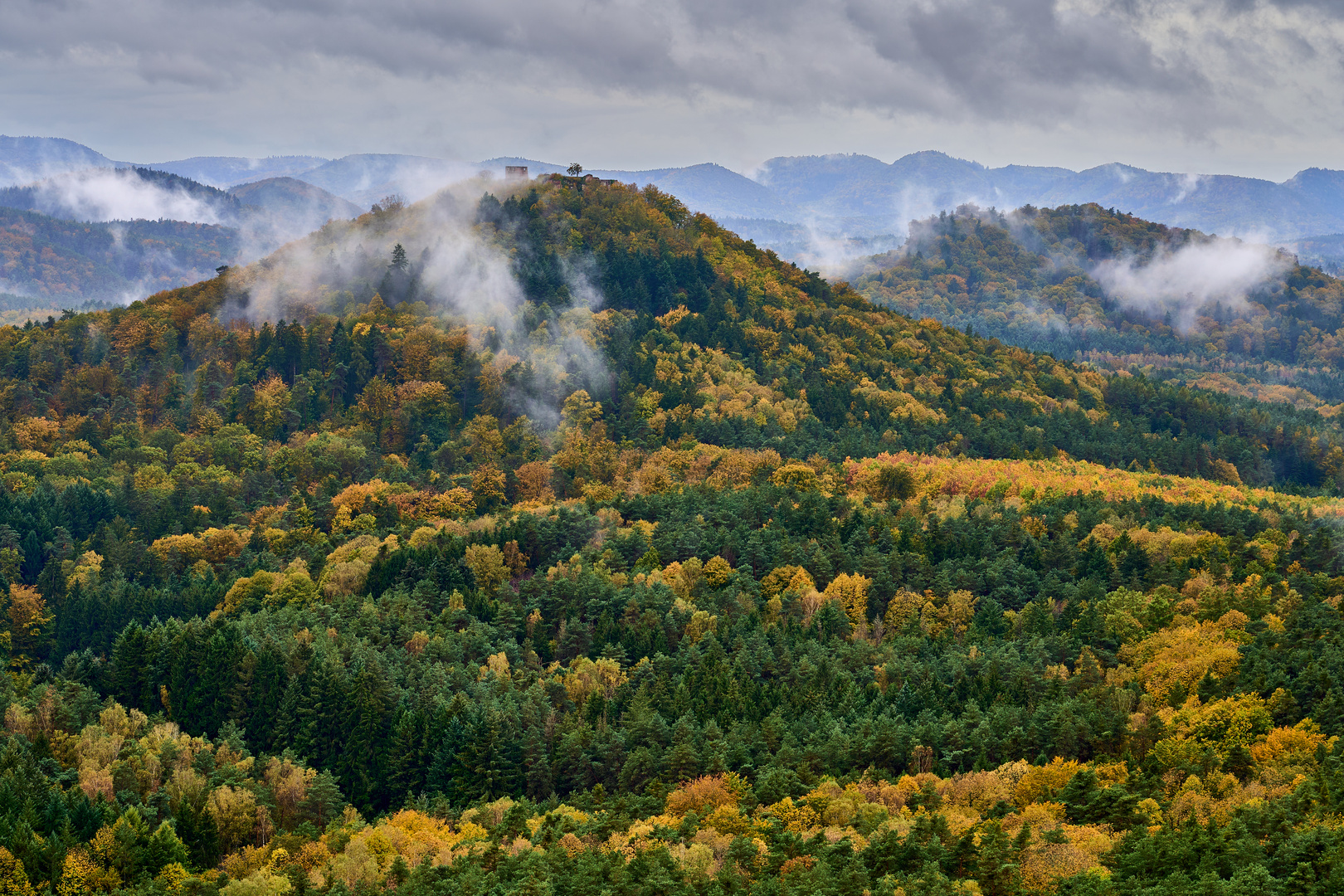 Herbst in der Pfalz