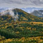 Herbst in der Pfalz