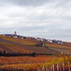 Herbst in der Pfalz