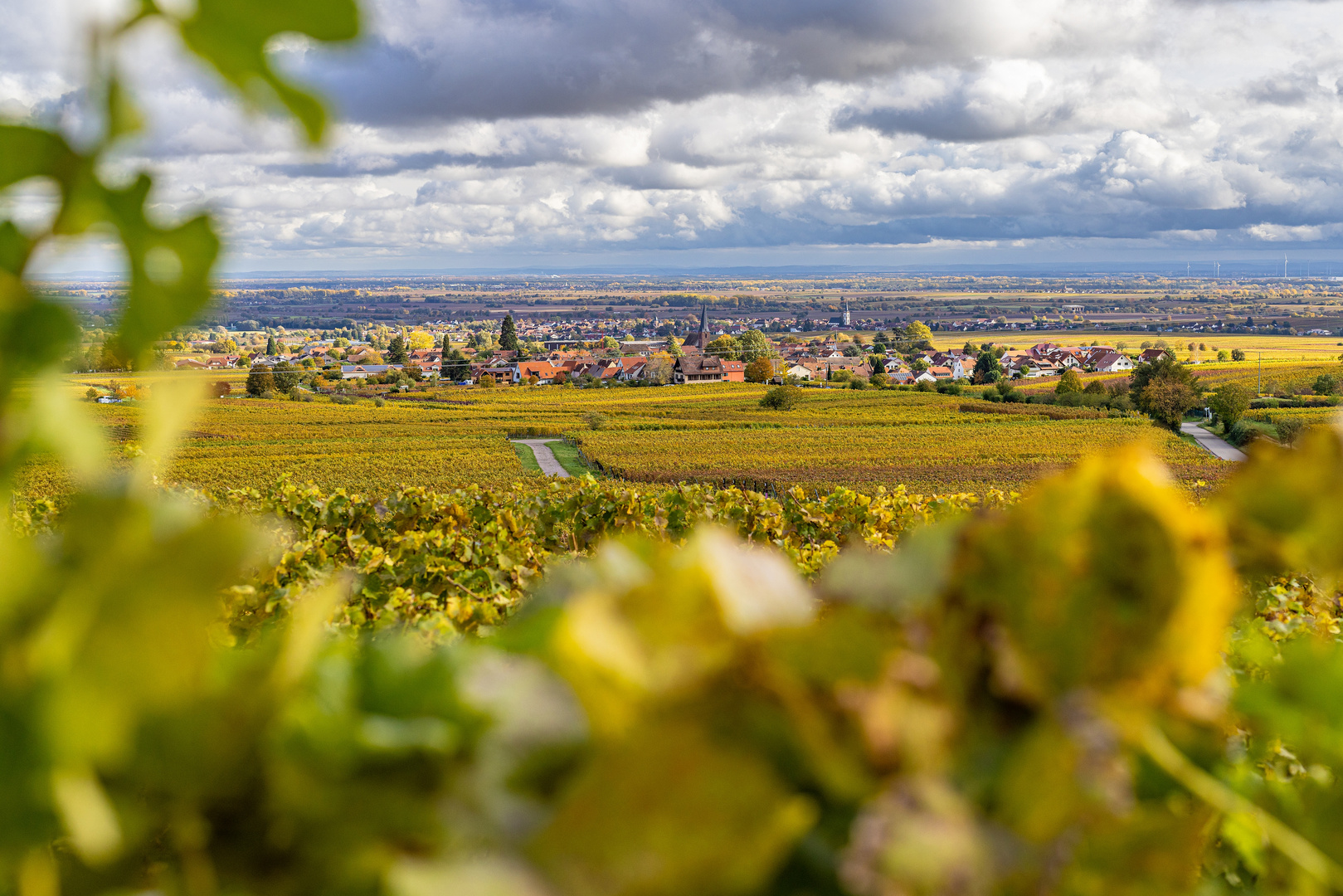 Herbst in der Pfalz