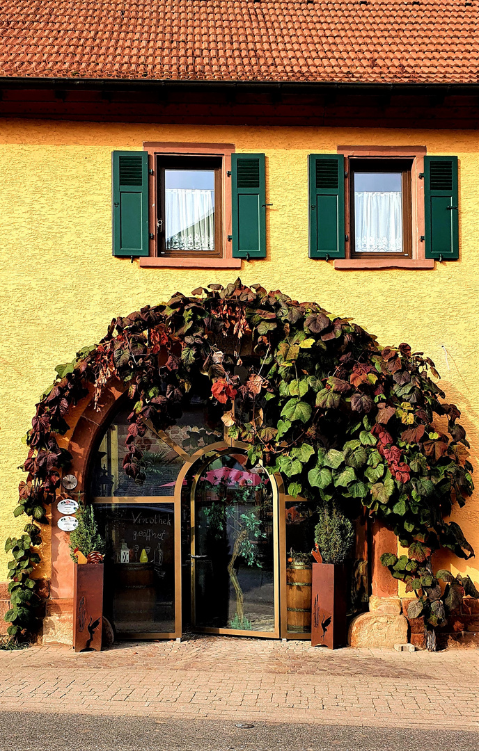 Herbst in der Pfalz