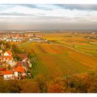 Herbst in der Pfalz