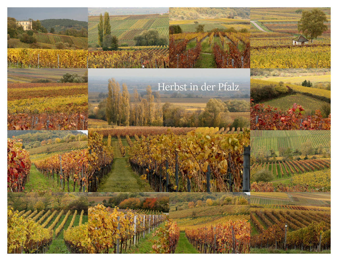 Herbst in der Pfalz