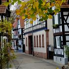 Herbst in der Pfalz