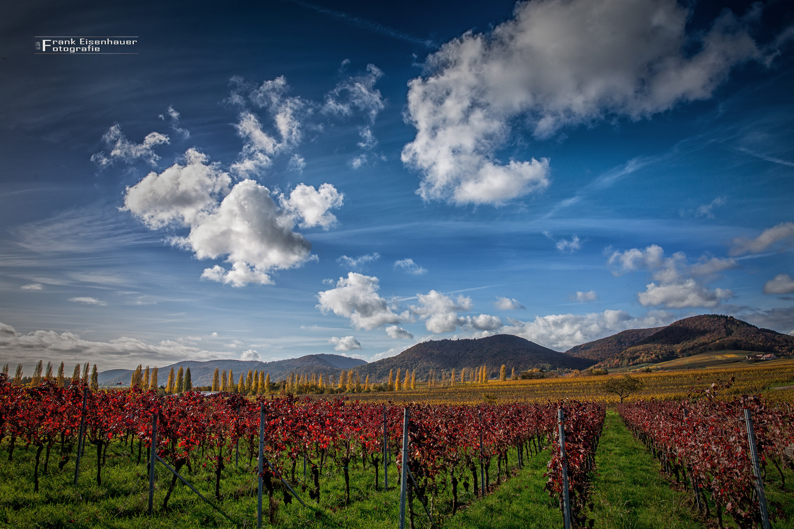 Herbst in der Pfalz