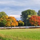 Herbst in der Pfalz