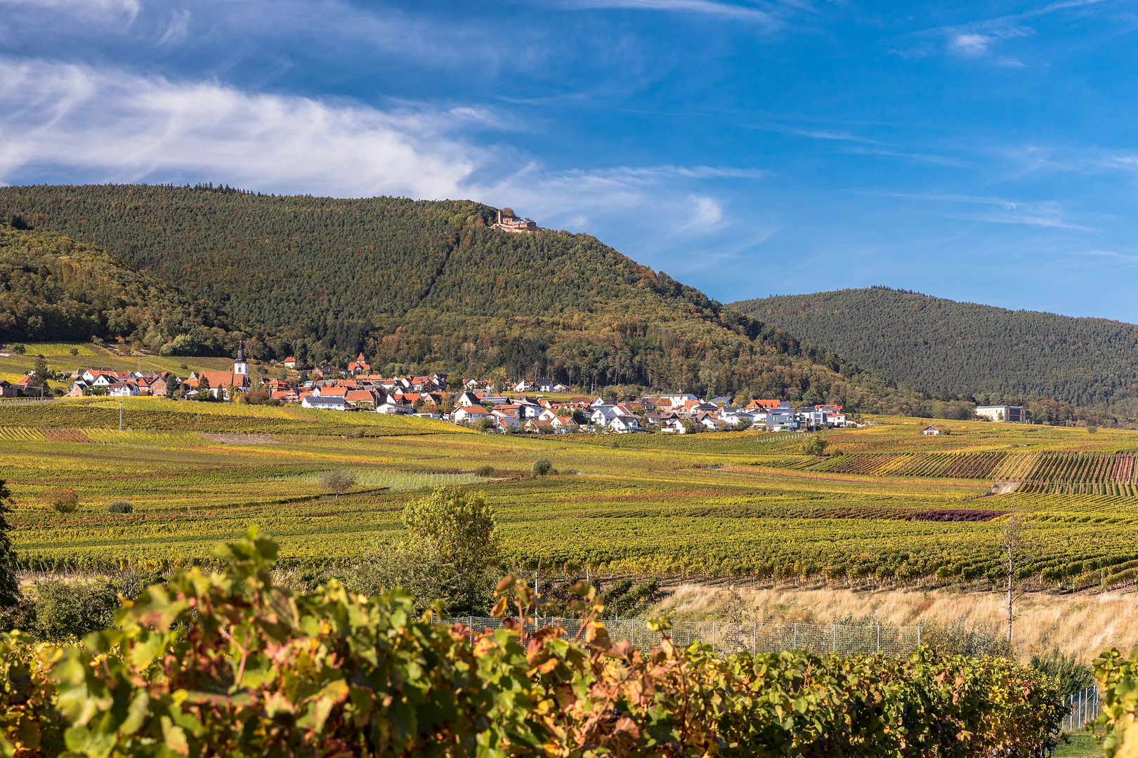 Herbst in der Pfalz