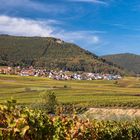 Herbst in der Pfalz