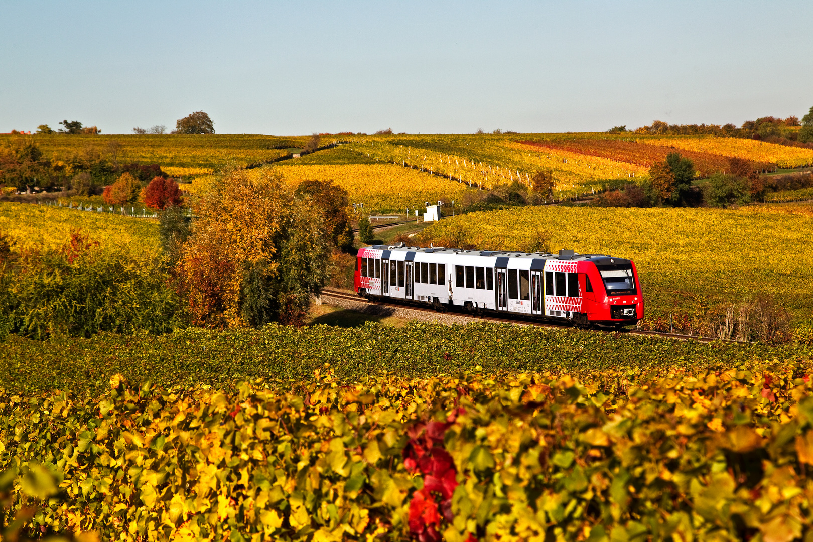 Herbst in der Pfalz (III)