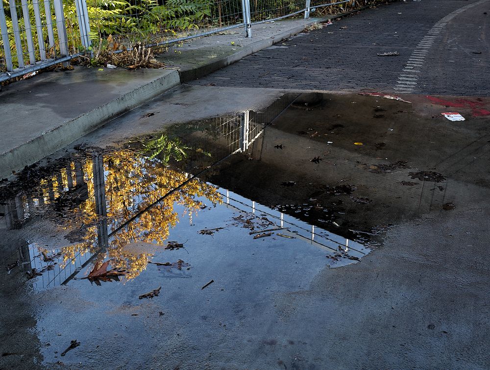 Herbst in der Pfütze