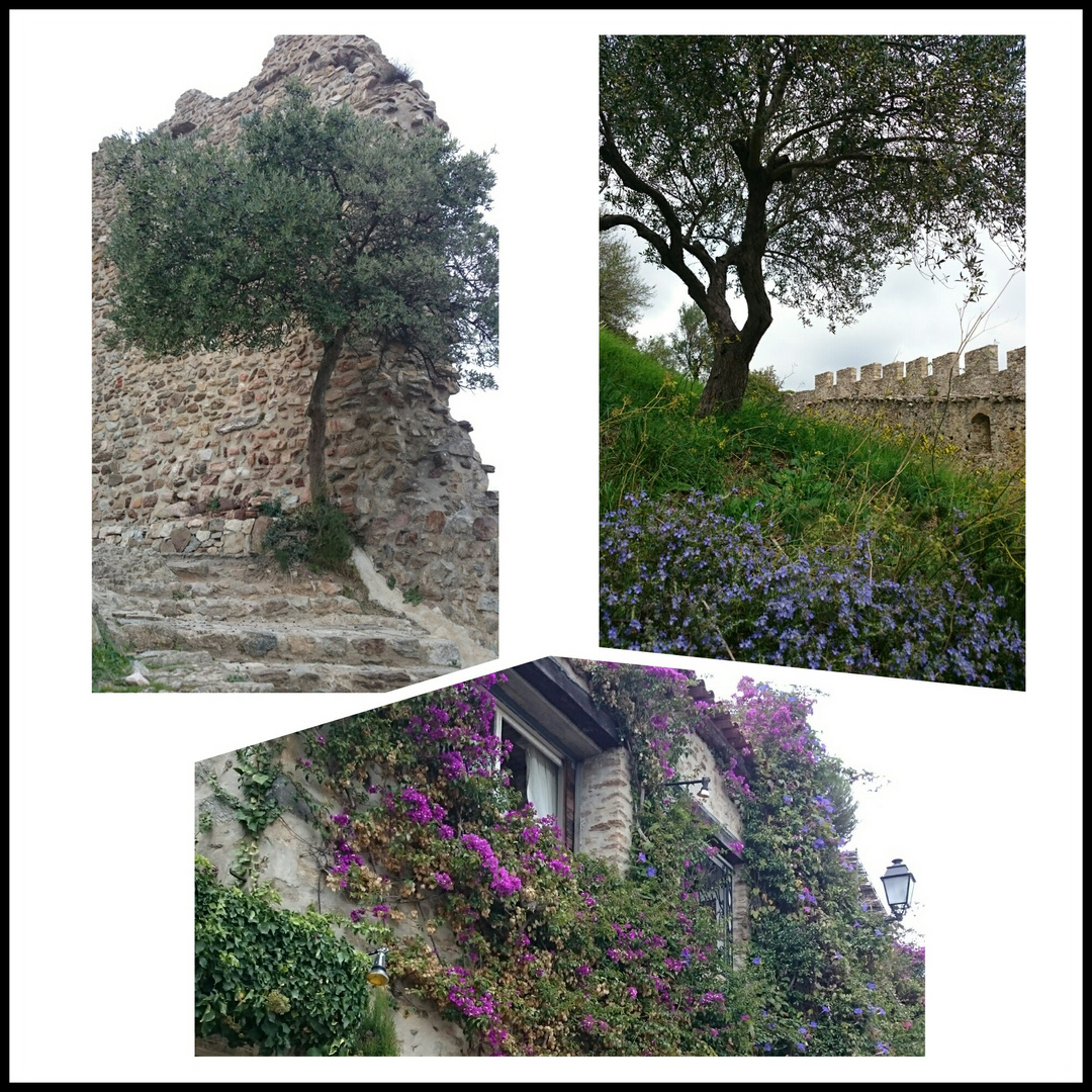 Herbst in der Provence