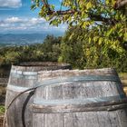 Herbst in der Provence