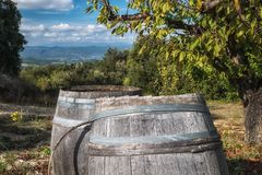 Herbst in der Provence