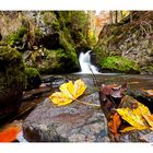 Herbst in der Ravennaschlucht