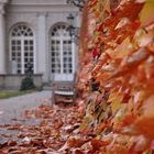 Herbst in der Residenz