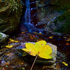 Herbst in der Rettenbachklamm