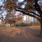 Herbst in der Rheinkehre Düsseldorf Himmelgeist/Itter