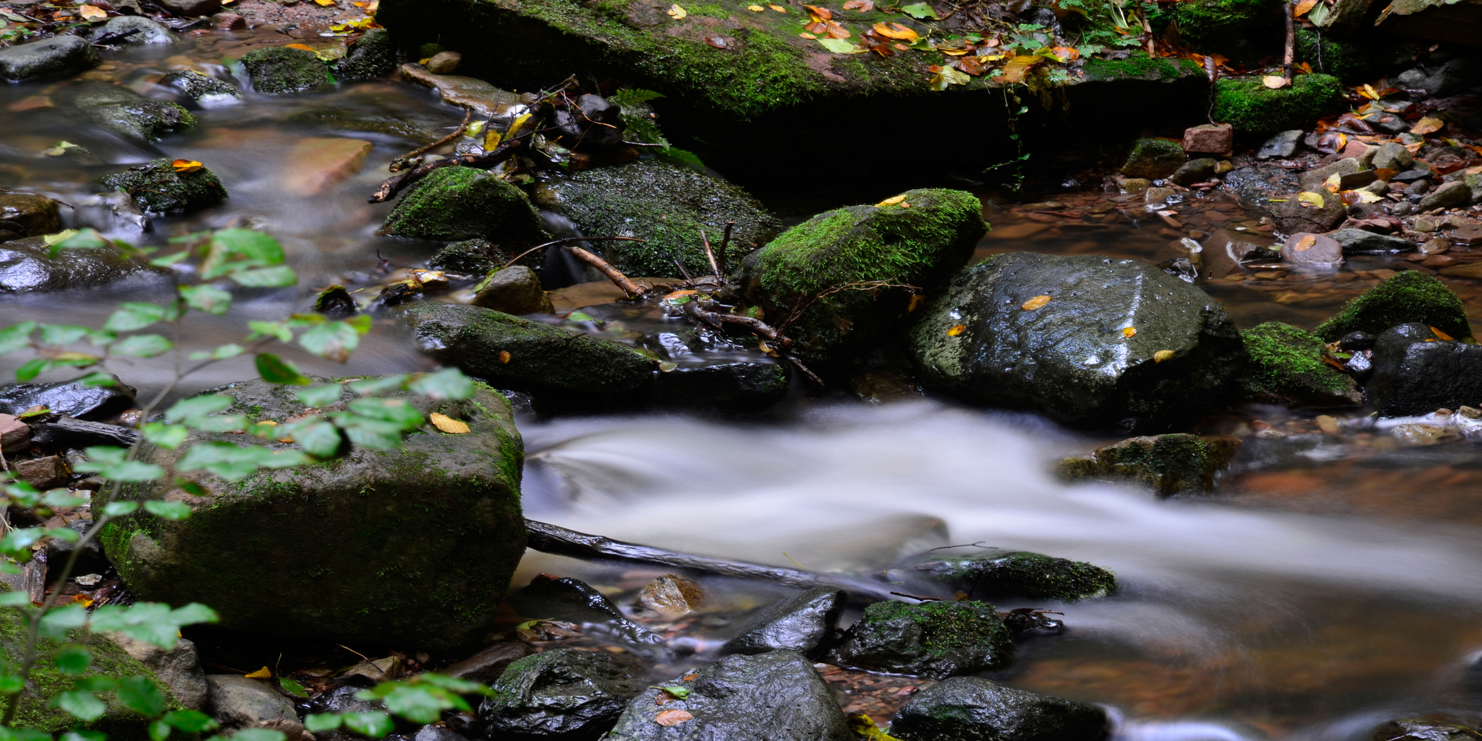 Herbst in der Rhön