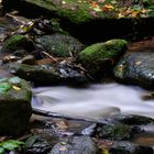 Herbst in der Rhön