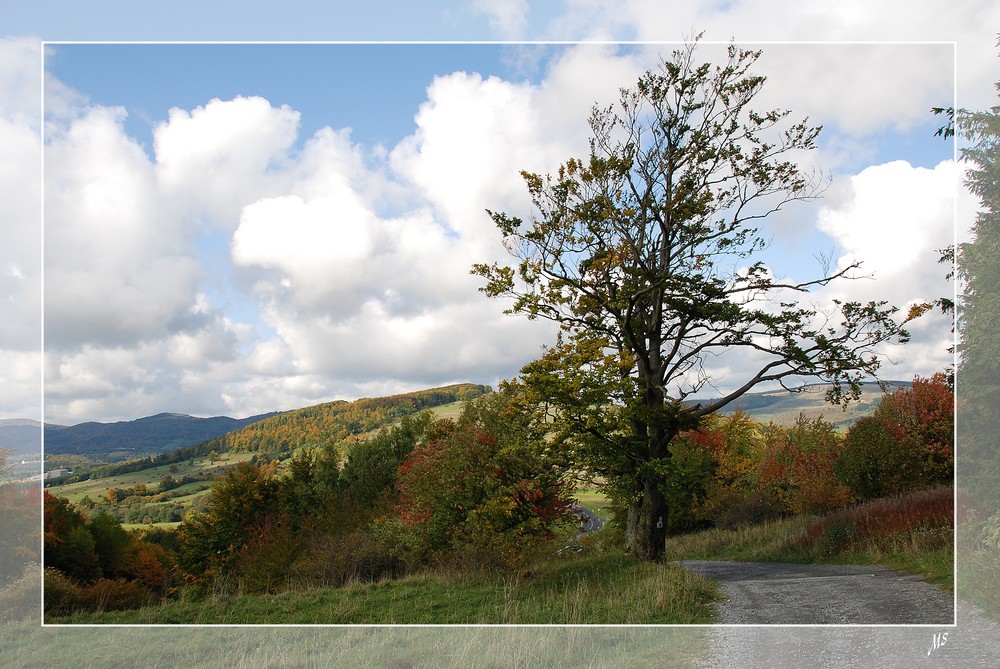 Herbst in der Rhön-1