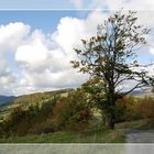 Herbst in der Rhön-1