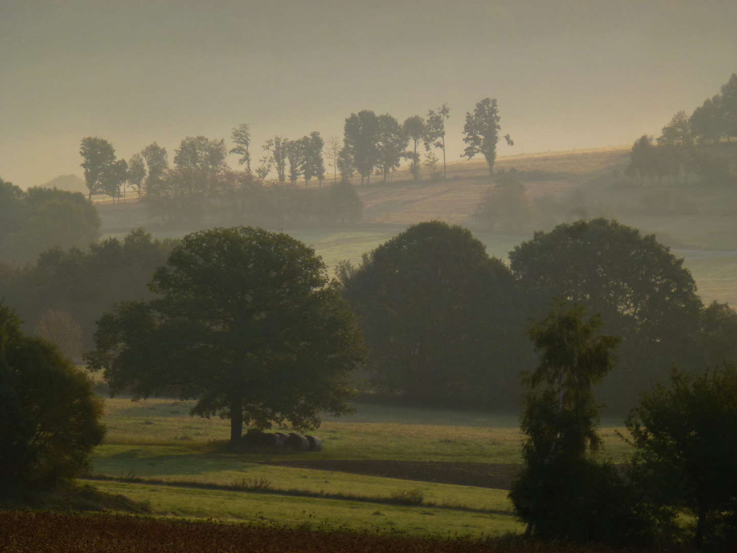 Herbst in der Rhön III