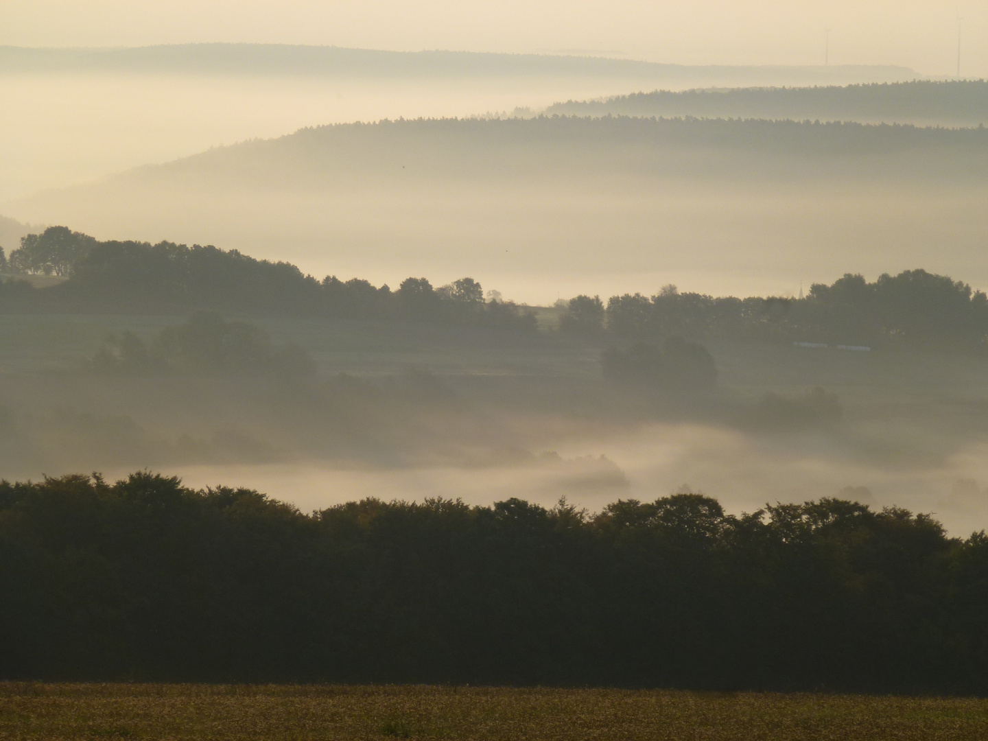 Herbst in der Rhön V