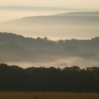 Herbst in der Rhön V