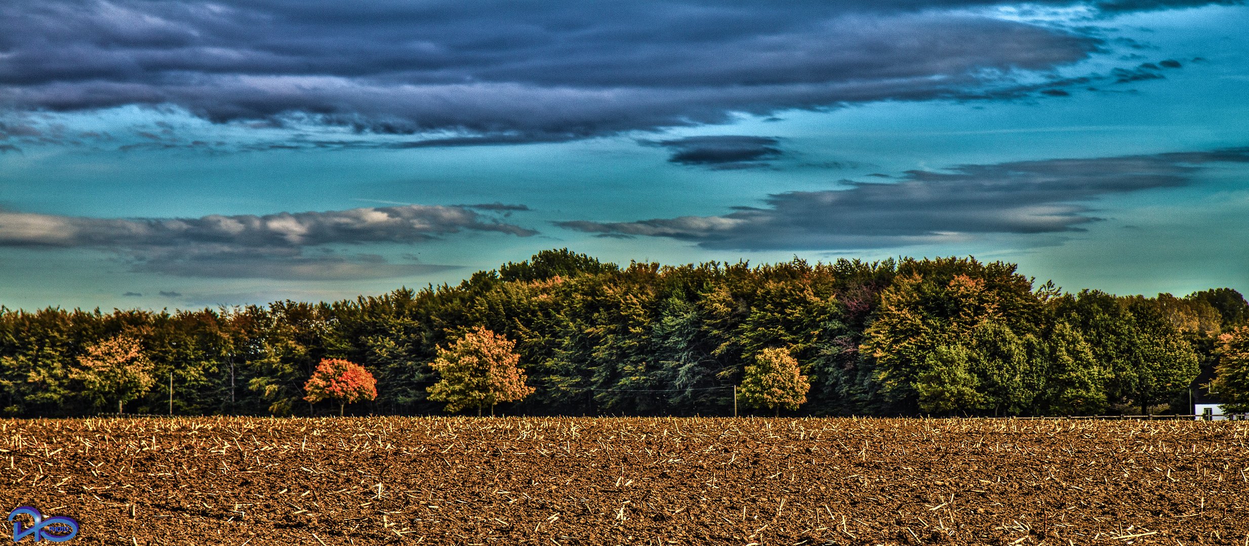 Herbst in der Ried