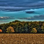 Herbst in der Ried