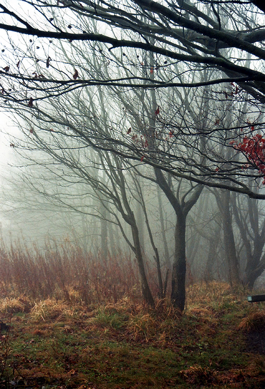 Herbst in der Röhn