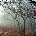 Herbst in der Röhn