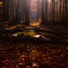 Herbst in der Sächsichen Schweiz