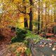 Herbst in der Schsische Schweiz